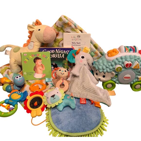 Zoo Safari Animal Hedgehog Giraffe Baby Einstein Book Kids Baby Plush ToyLot